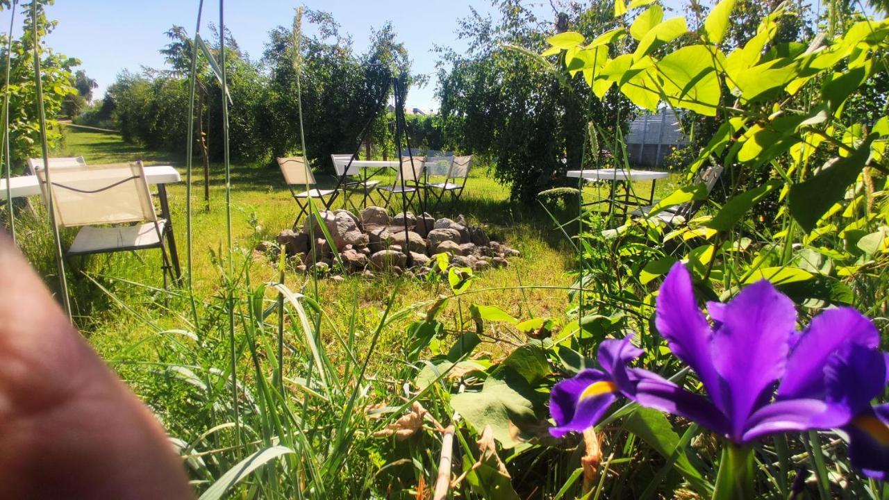 Ow Sargus Bed & Breakfast วาดีสวาโวโว ภายนอก รูปภาพ