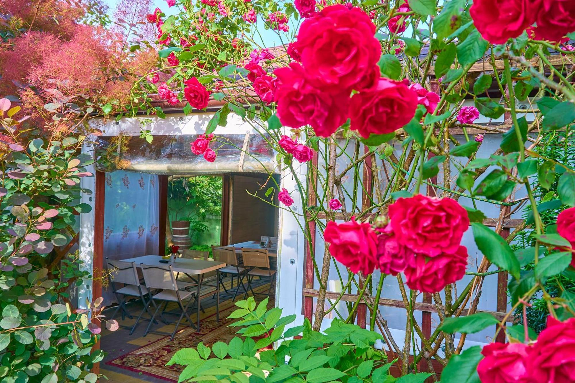 Ow Sargus Bed & Breakfast วาดีสวาโวโว ภายนอก รูปภาพ