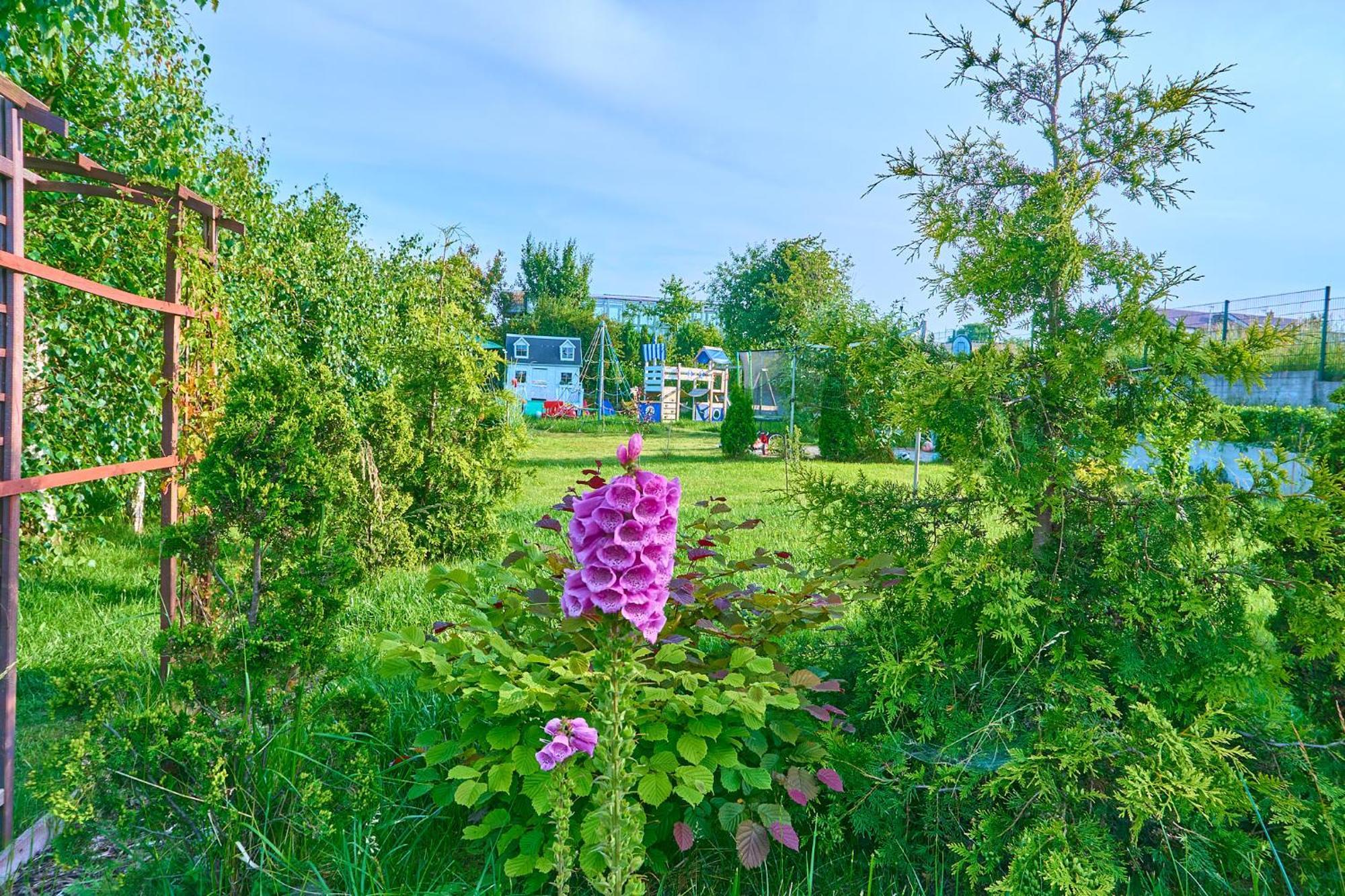 Ow Sargus Bed & Breakfast วาดีสวาโวโว ภายนอก รูปภาพ