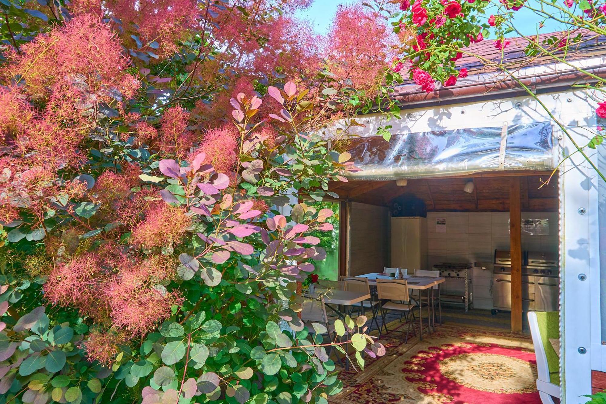 Ow Sargus Bed & Breakfast วาดีสวาโวโว ภายนอก รูปภาพ